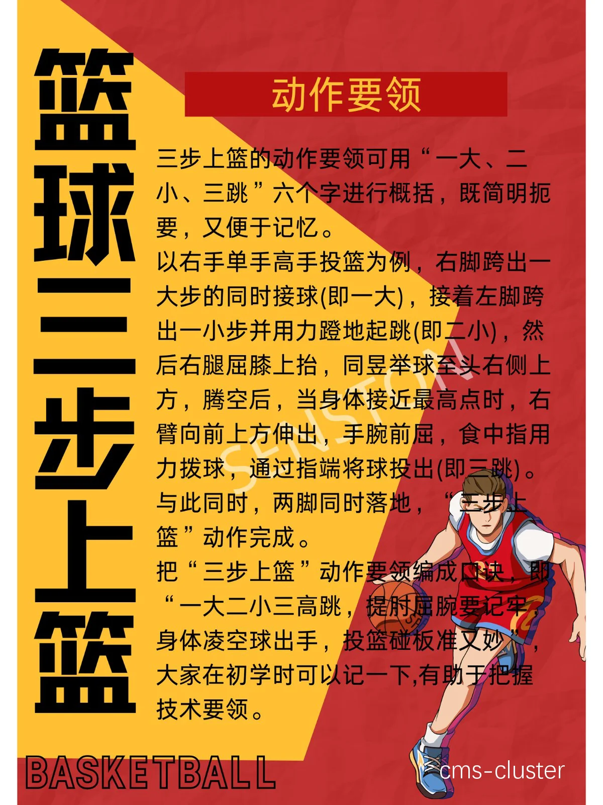 老年篮球新人如何安全地进行训练
